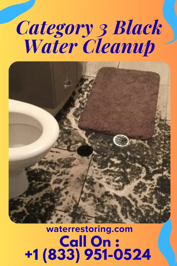 Category 3 Black Water Cleanup in Miller, MO