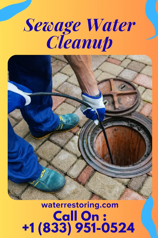 Sewage Water Cleanup in Miller, MO